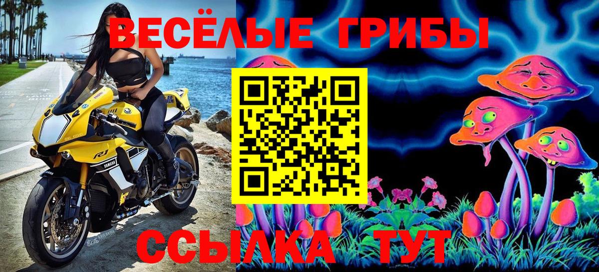 Губаха  Галлюциногенные грибы Magic Shrooms  Вход с VPN 