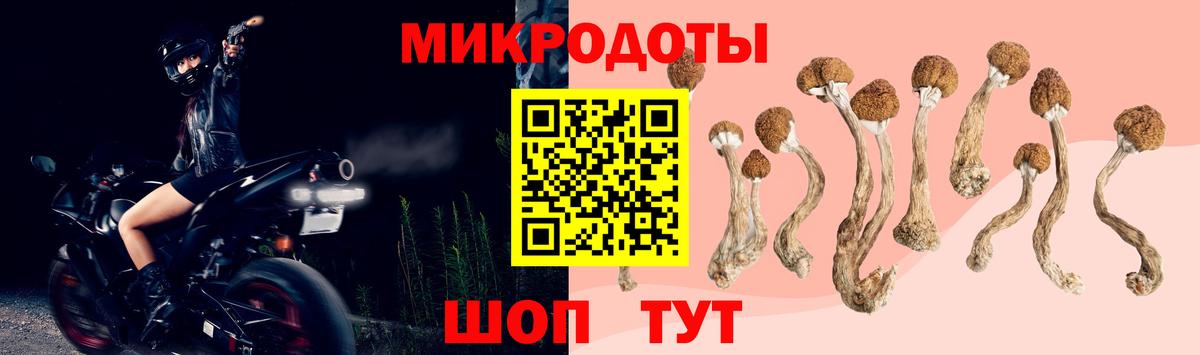 Псилоцибиновые грибы прущие грибы Губаха